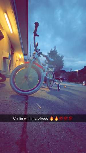 Immagine del profilo