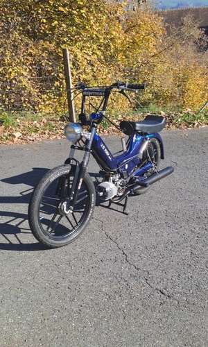 Immagine del profilo