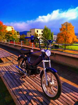 Immagine del profilo