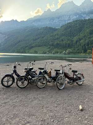 Immagine del profilo